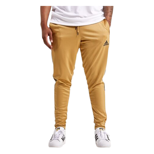 Jainish Men's Gold Cotton Polka Dots Formal Trousers – Jompers