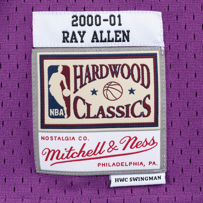 Mitchell & Ness Men's Ray Allen Purple Milwaukee Bucks Hardwood Classics Swingman Jersey - Purple
