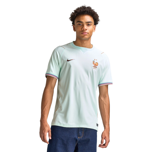 Nike Men's Fff 2026 Stadium Away Apparel - Igloo / Monarch / Aqua - Just For Sports